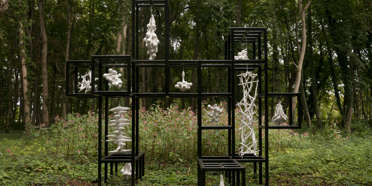 Cosmos (outdoor) No.01